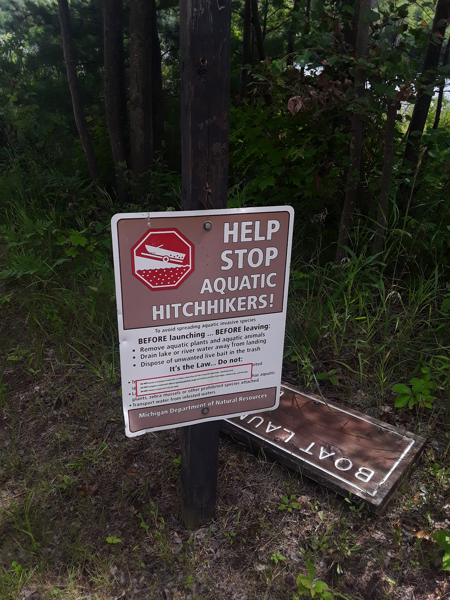 Garey Lake State Forest Campground