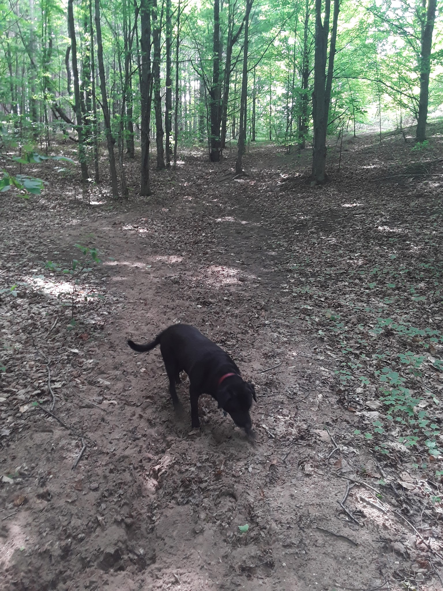 Garey Lake State Forest Campground
