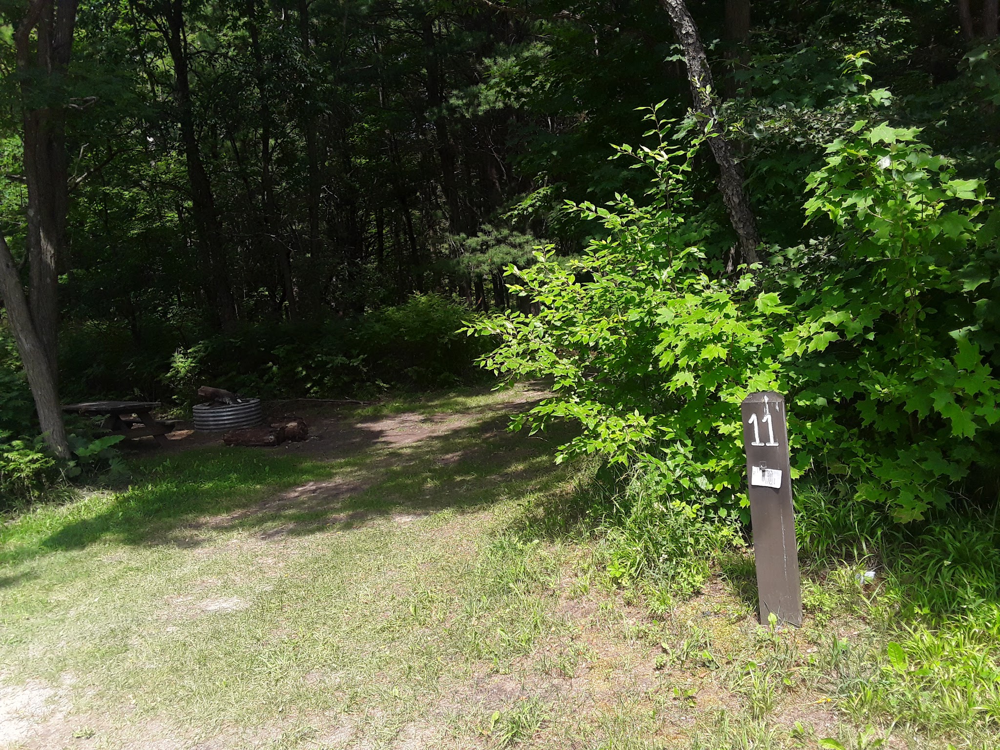Garey Lake State Forest Campground