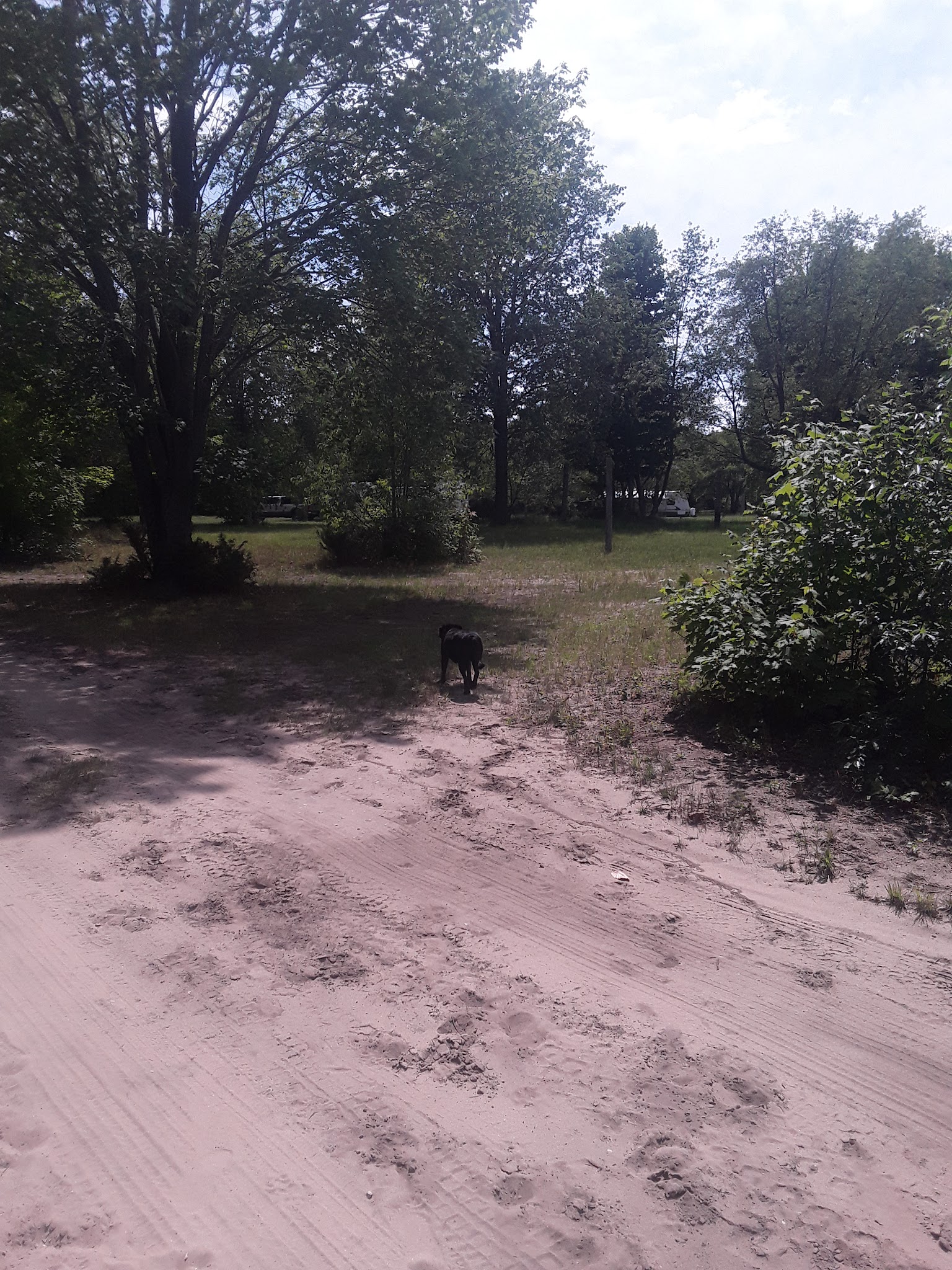Garey Lake State Forest Campground