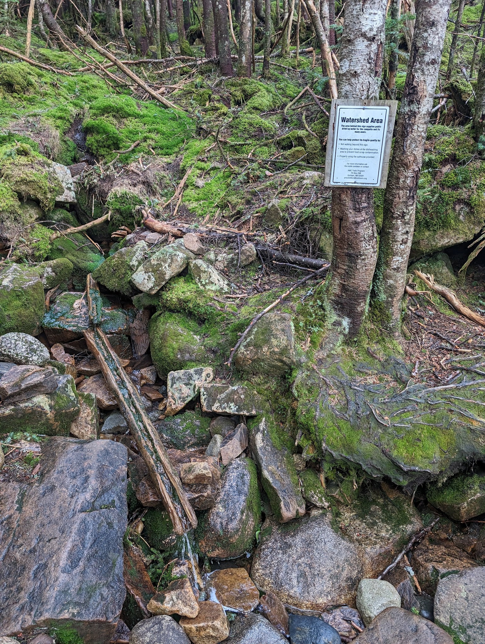 Garfield Ridge Shelter