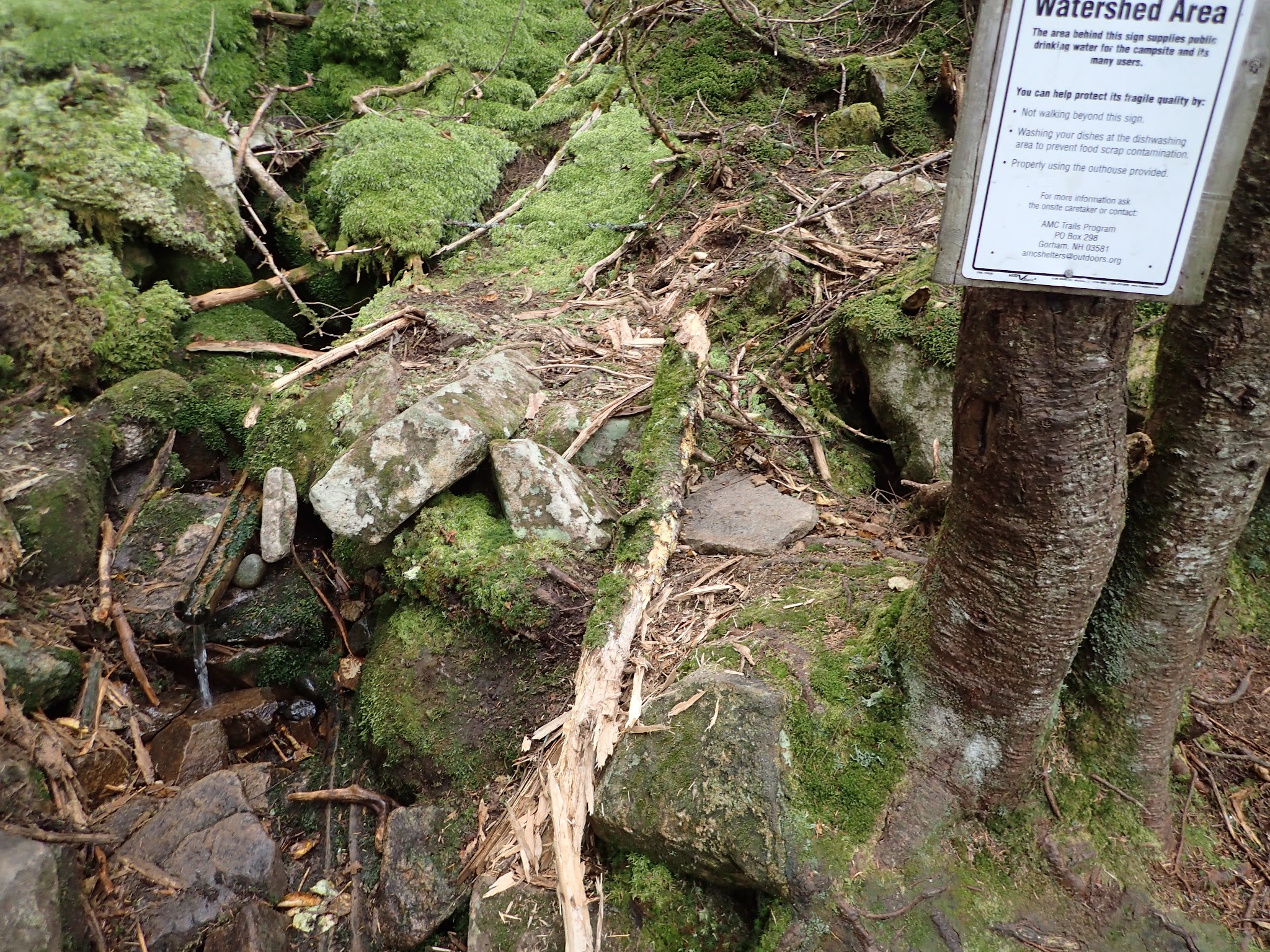 Garfield Ridge Shelter