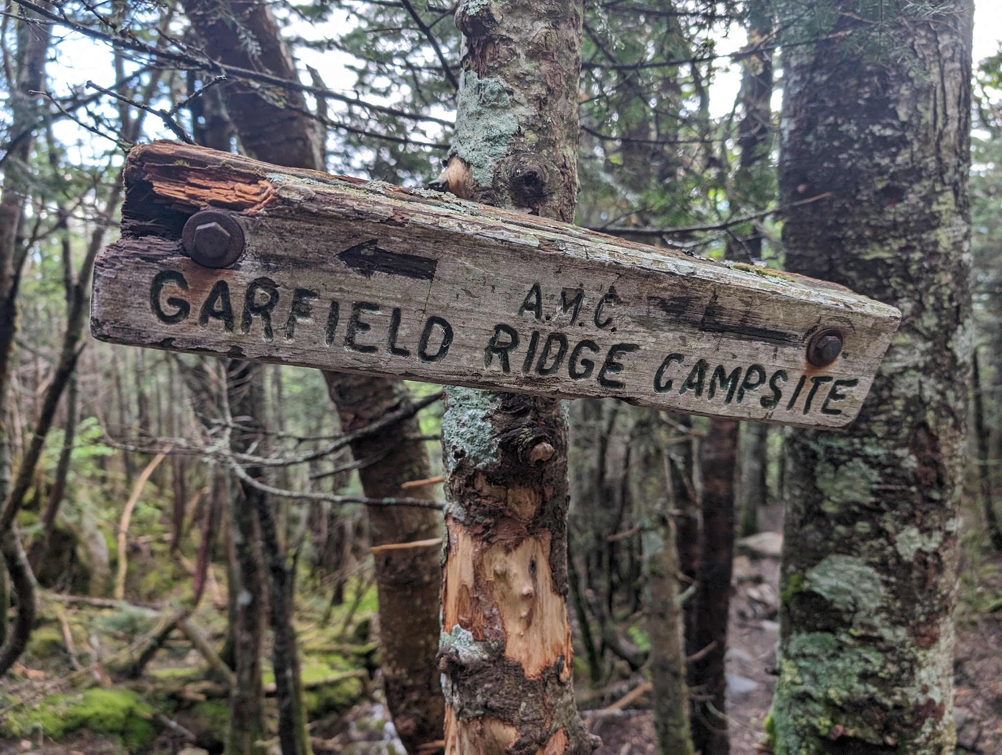 Garfield Ridge Shelter