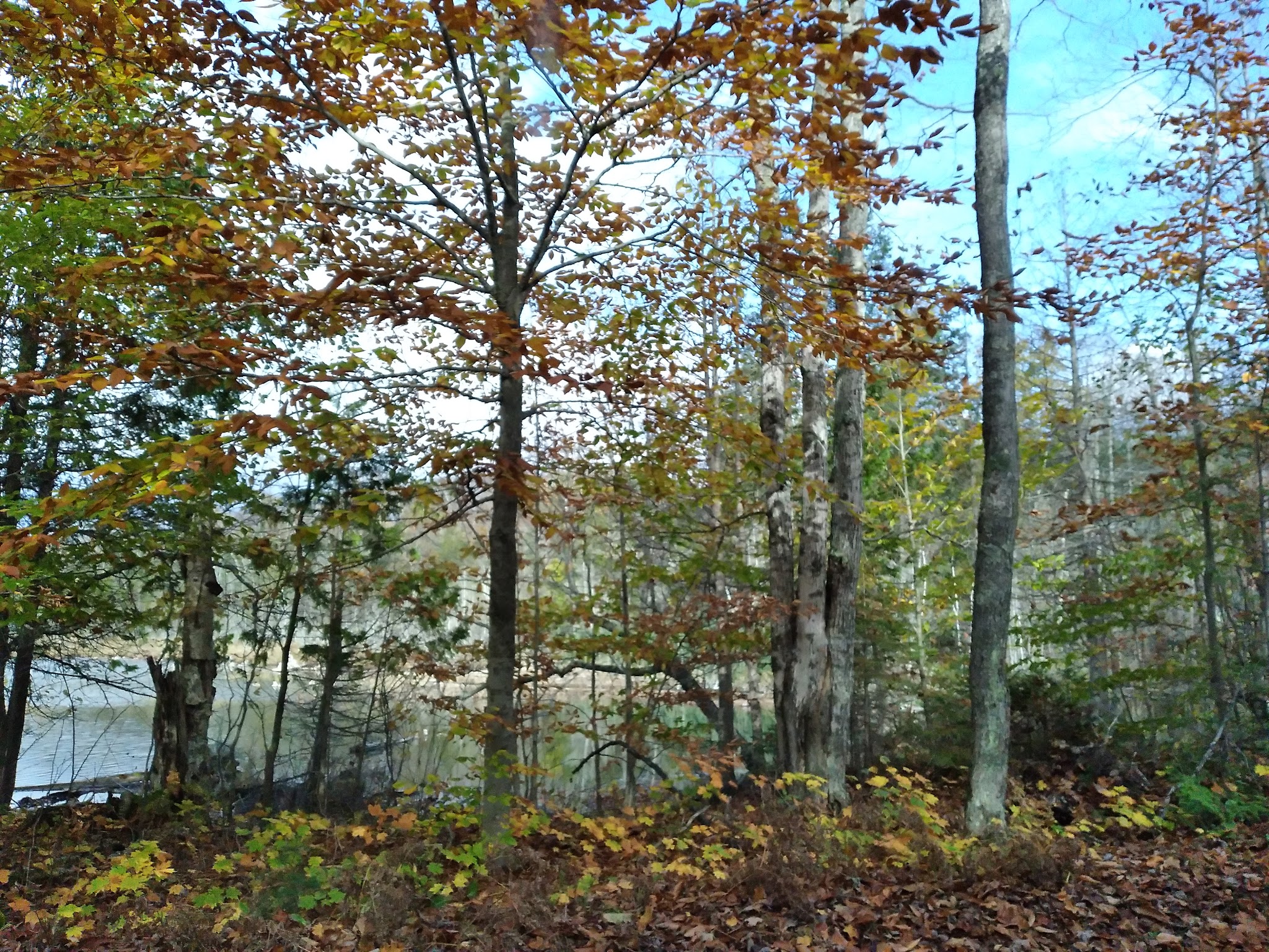 Garnet Lake State Forest Campground