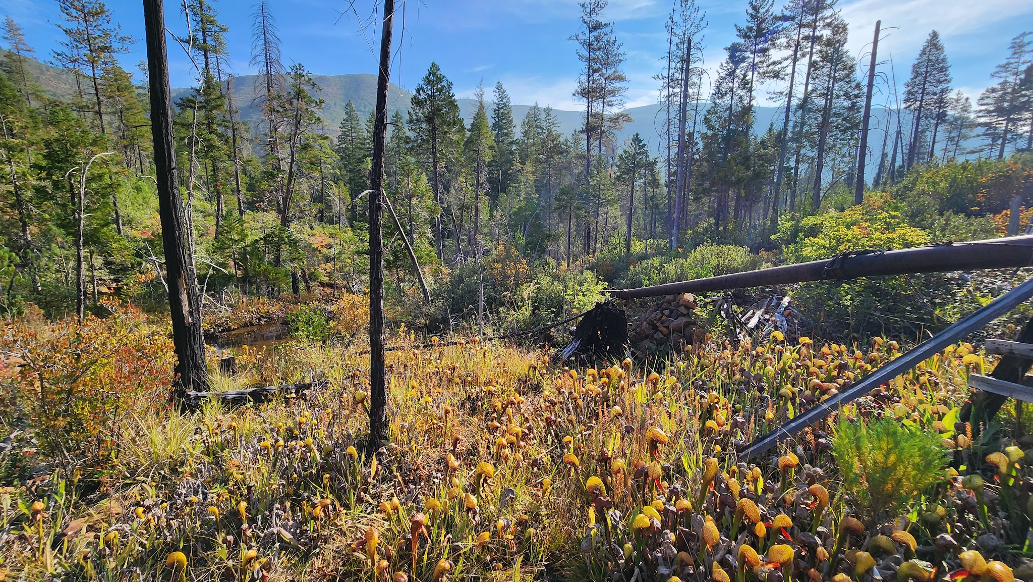 North Fork Campground