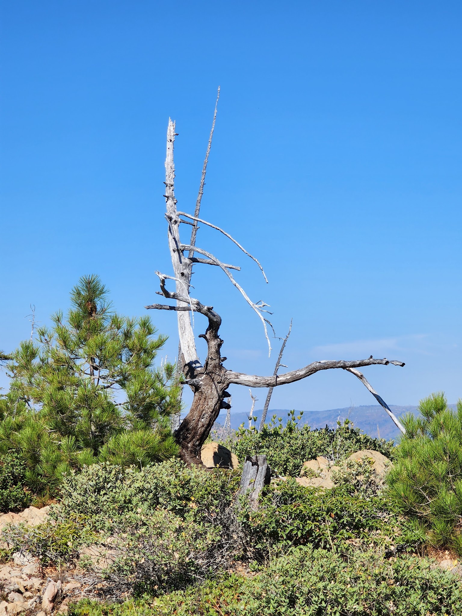 North Fork Campground