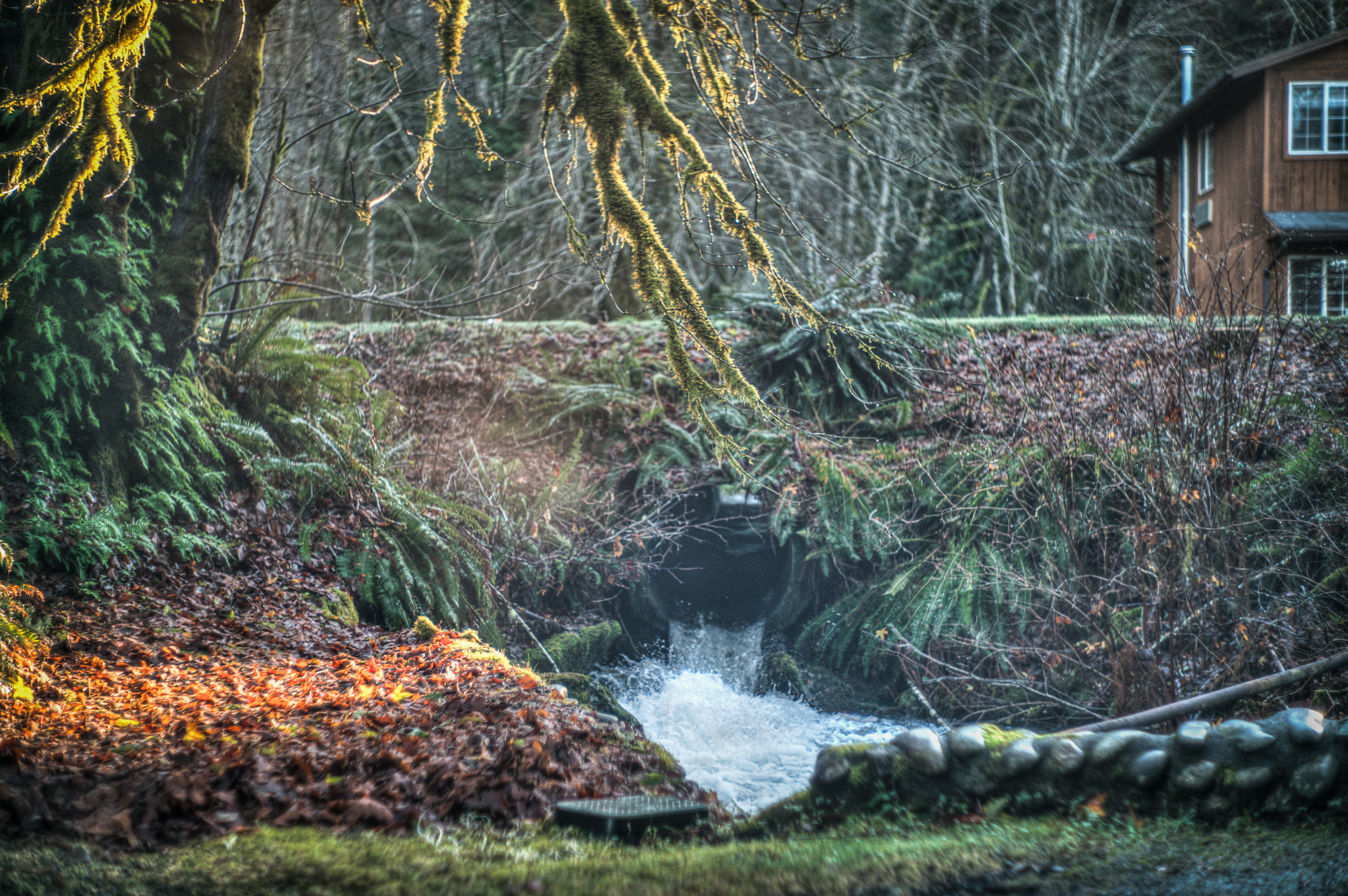 Gatton Creek Campground/Day Use Area