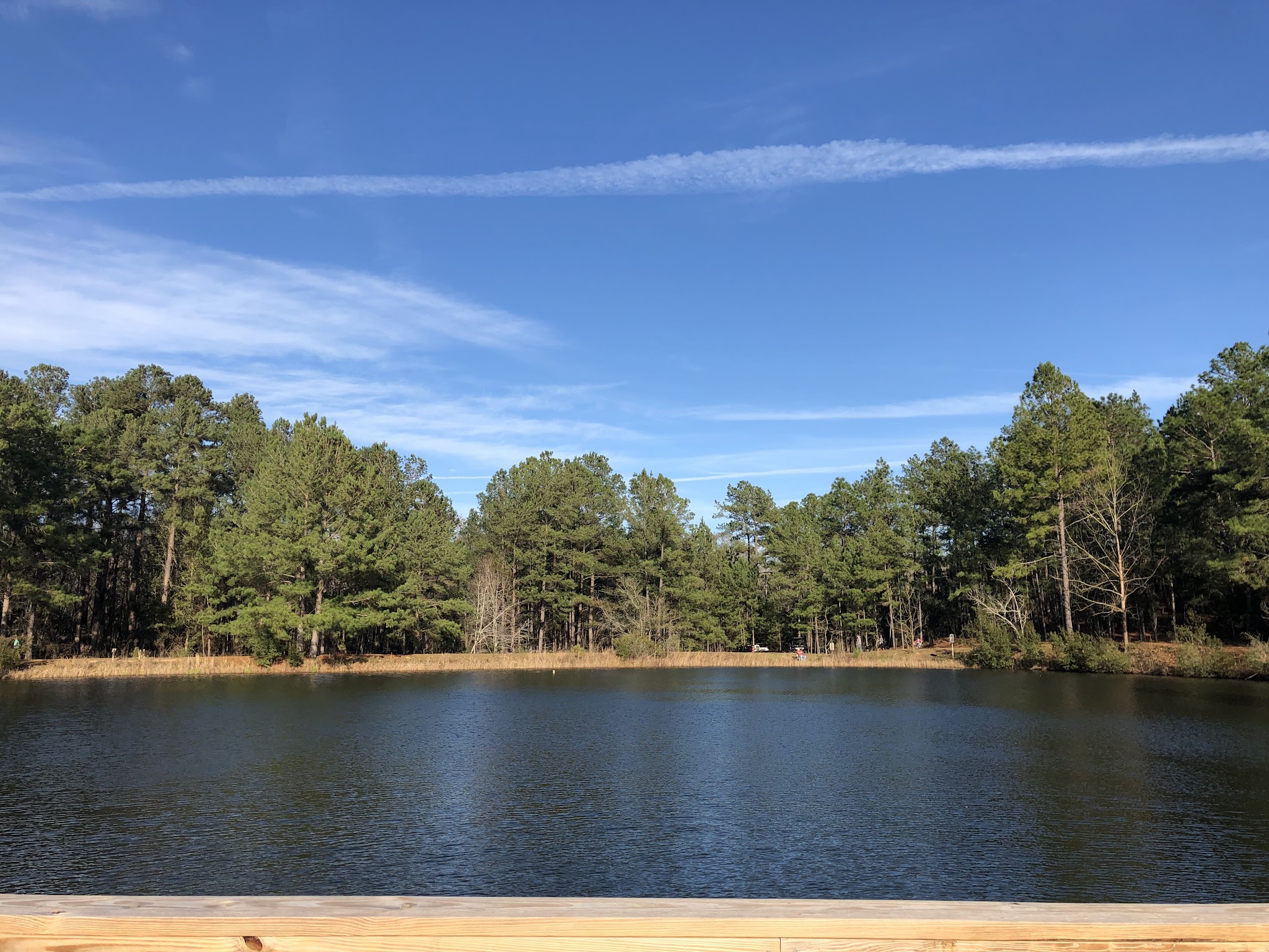 General Coffee State Park