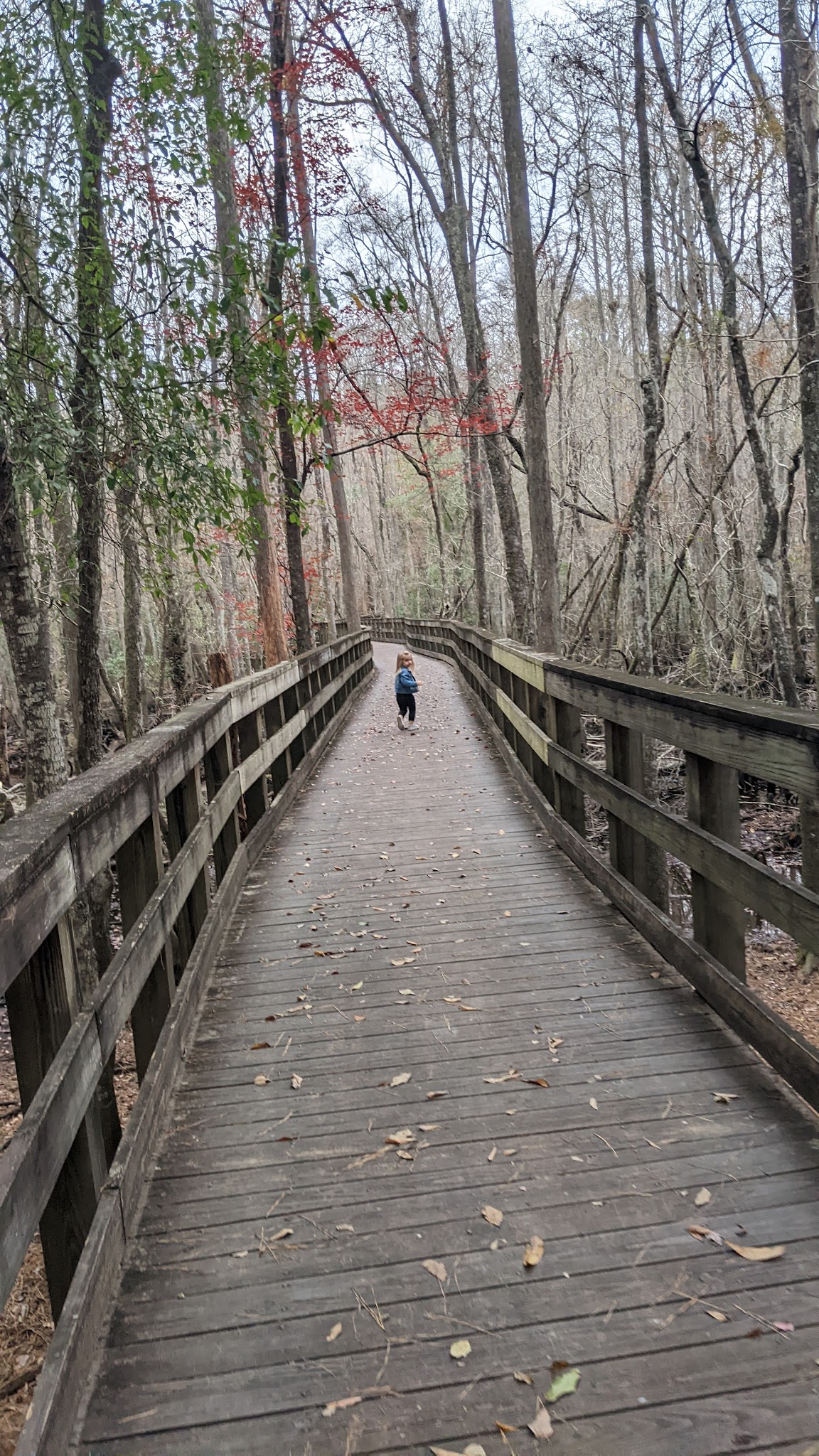 General Coffee State Park