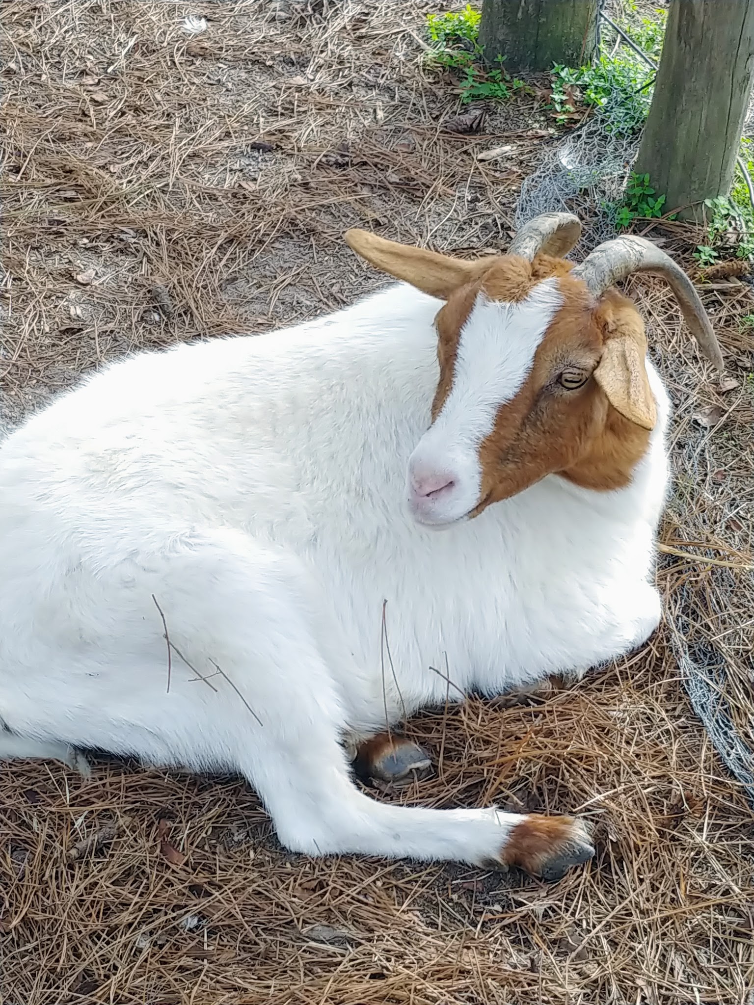 General Coffee State Park