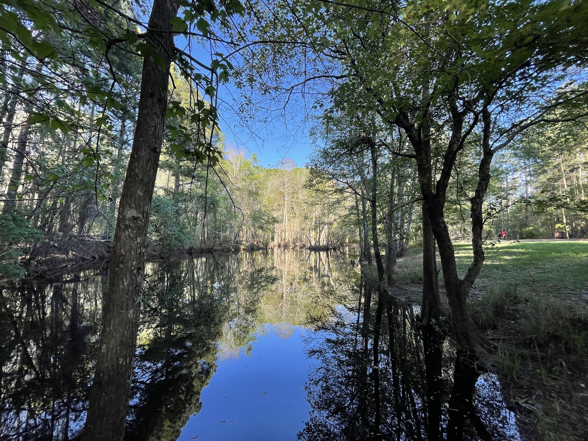 General Coffee State Park
