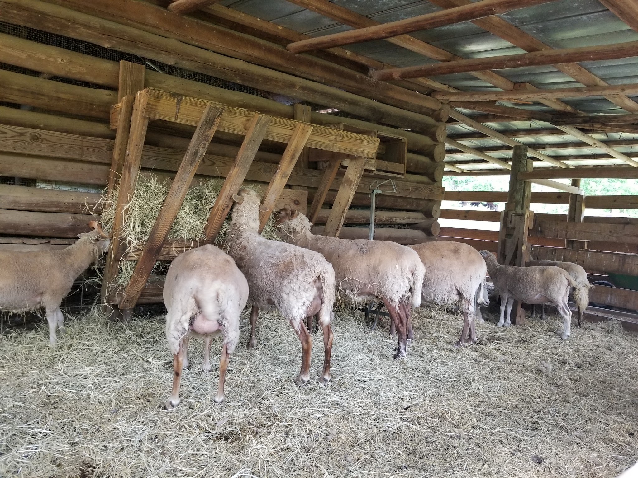 General Coffee State Park