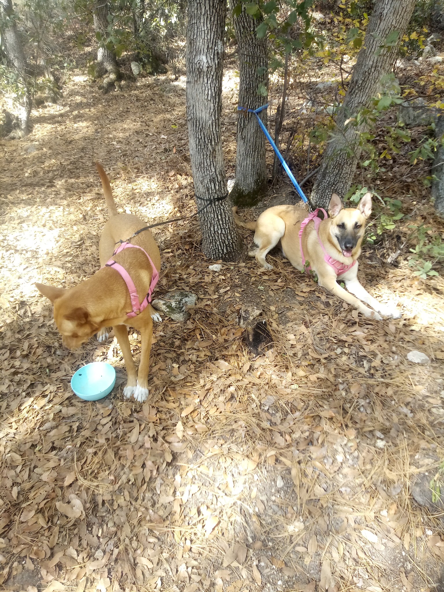 General Hitchcock Campground