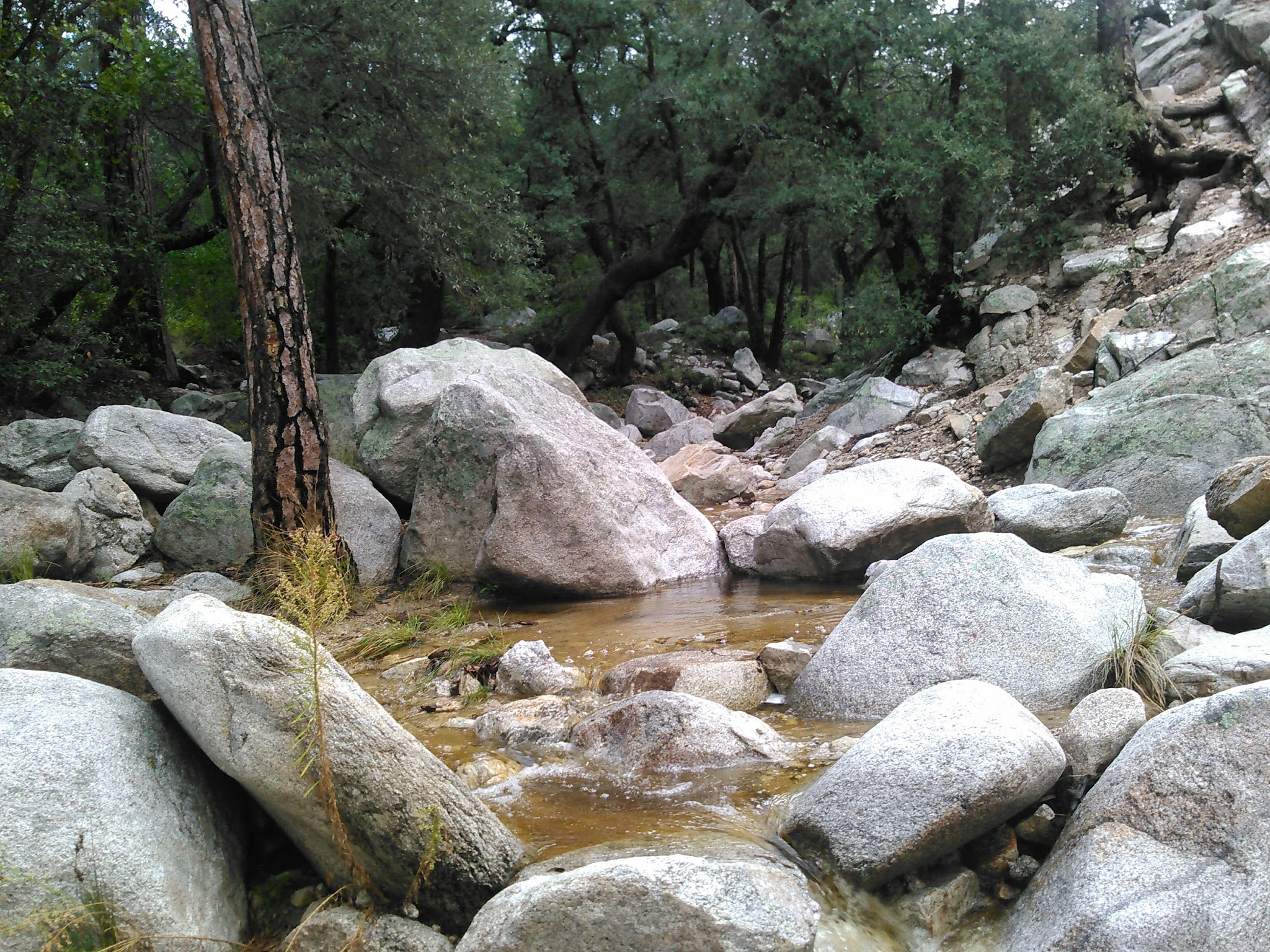 General Hitchcock Campground