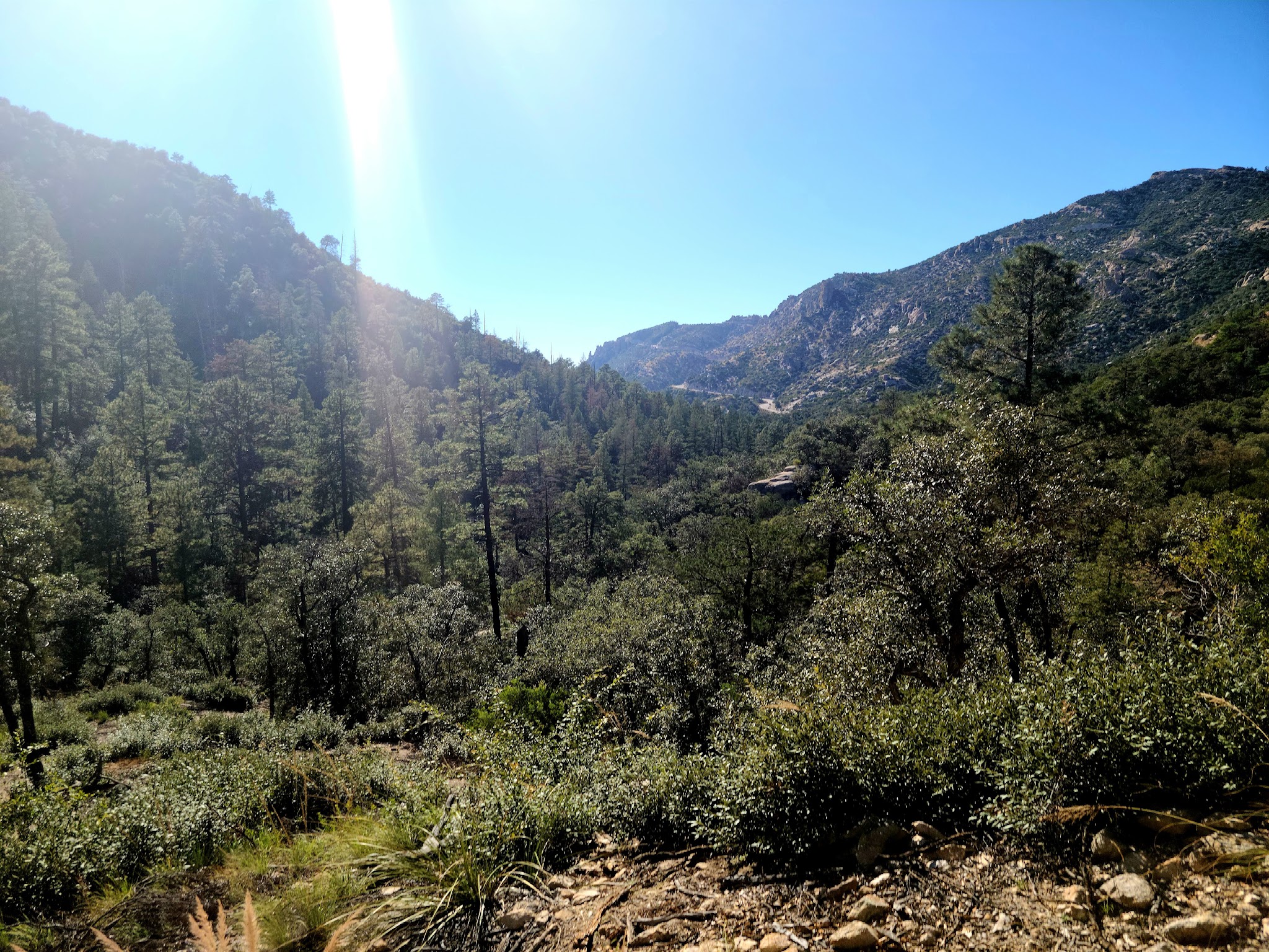 General Hitchcock Campground