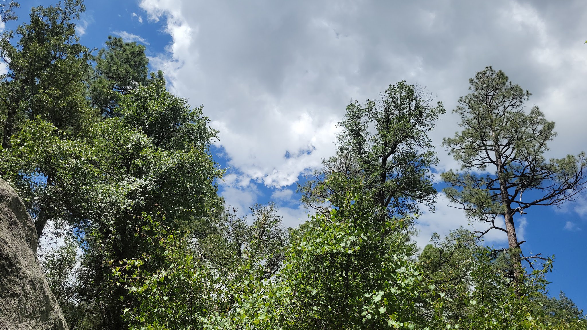 General Hitchcock Campground