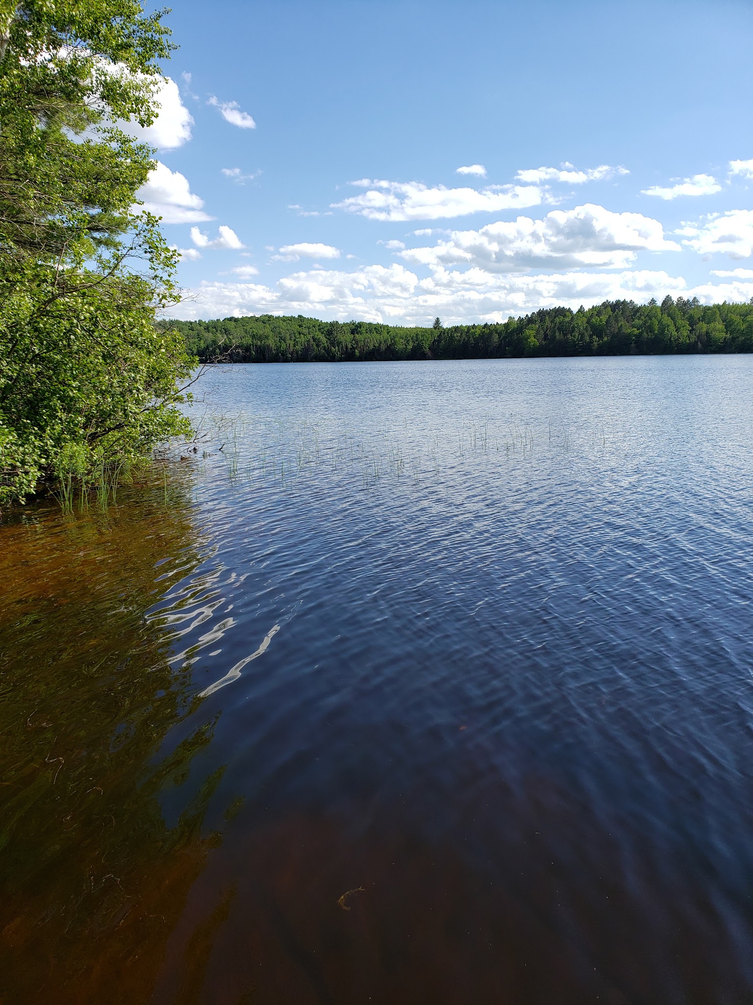 Gene'S Pond State Forest Campground