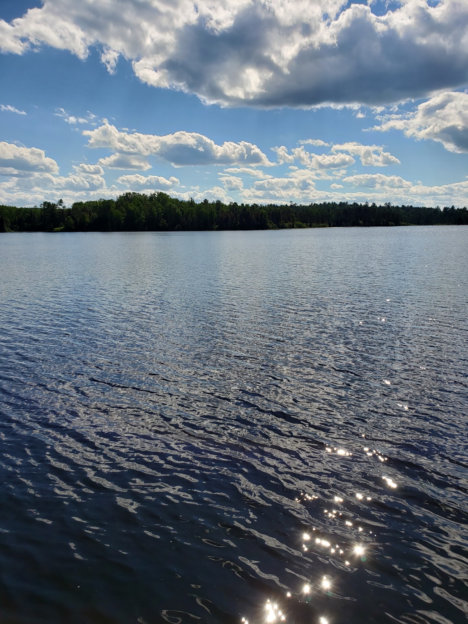 Gene'S Pond State Forest Campground