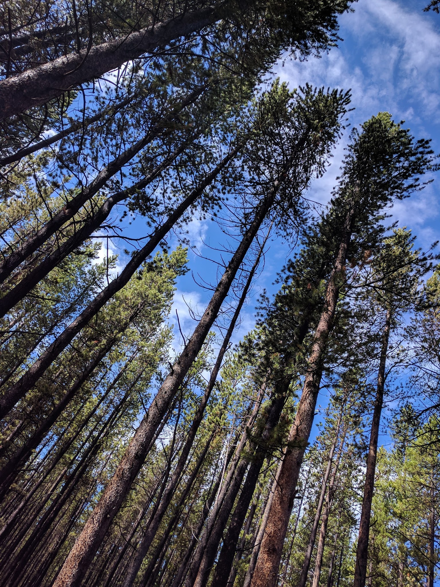 Geneva Park Campground