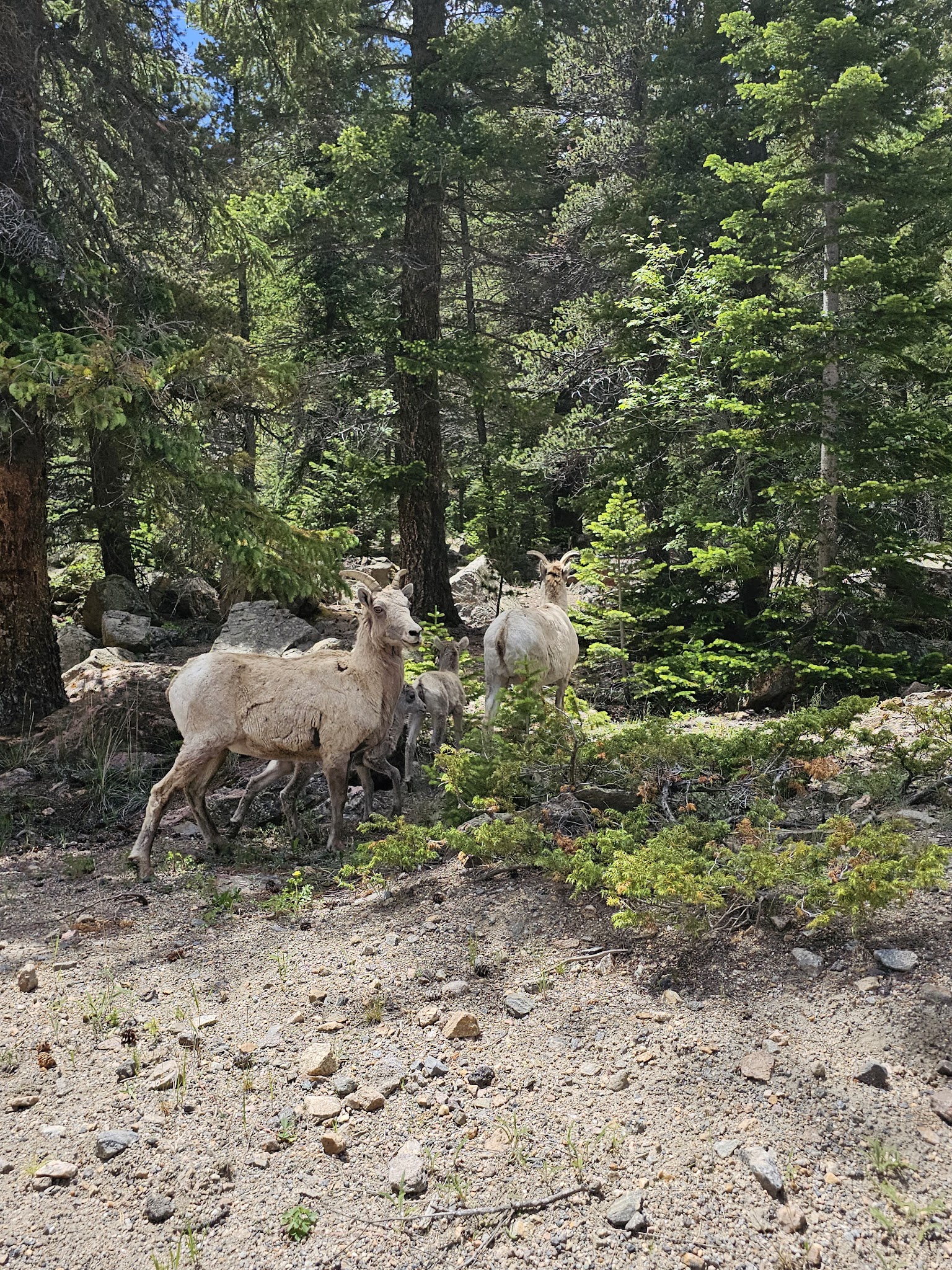 Geneva Park Campground