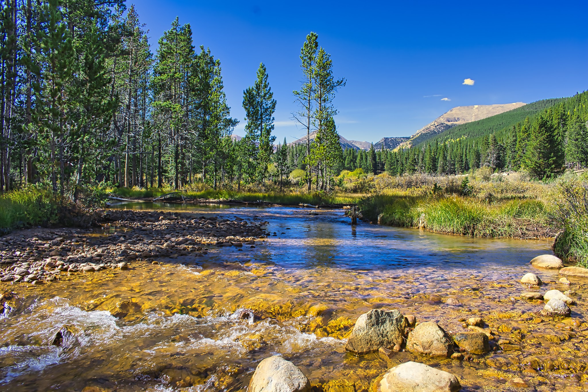 Geneva Park Campground