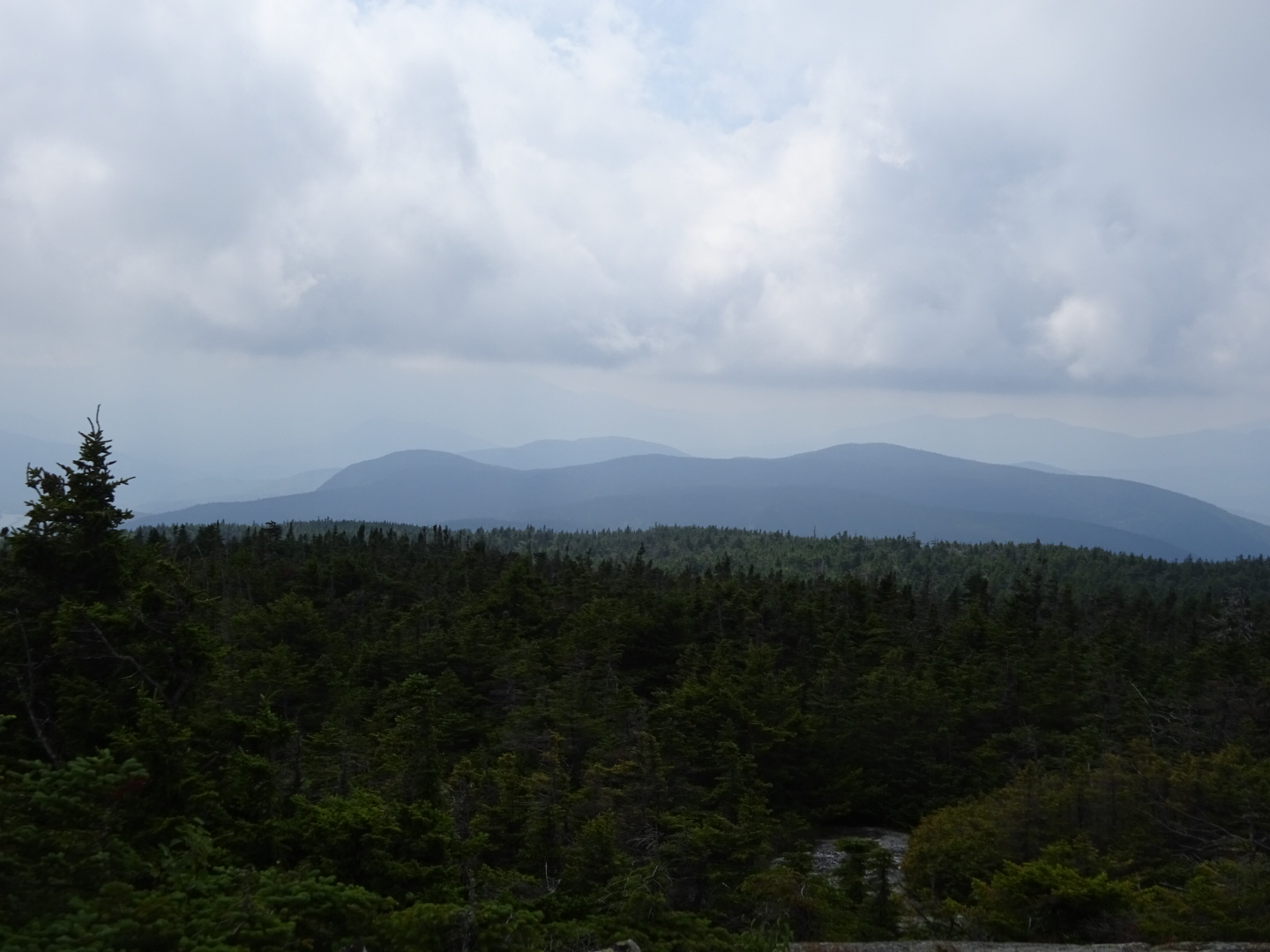 Gentian Pond Shelter