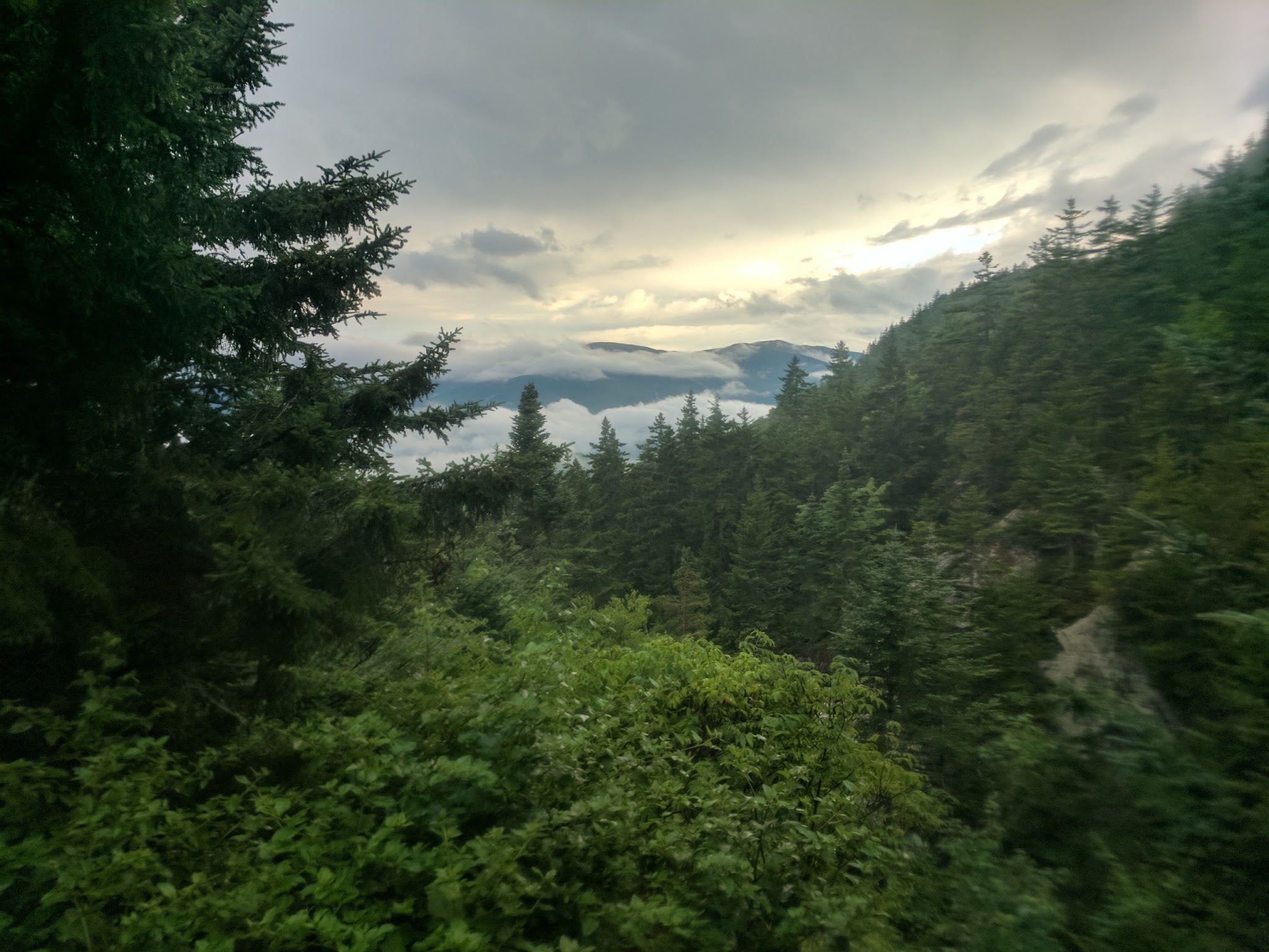 Gentian Pond Shelter