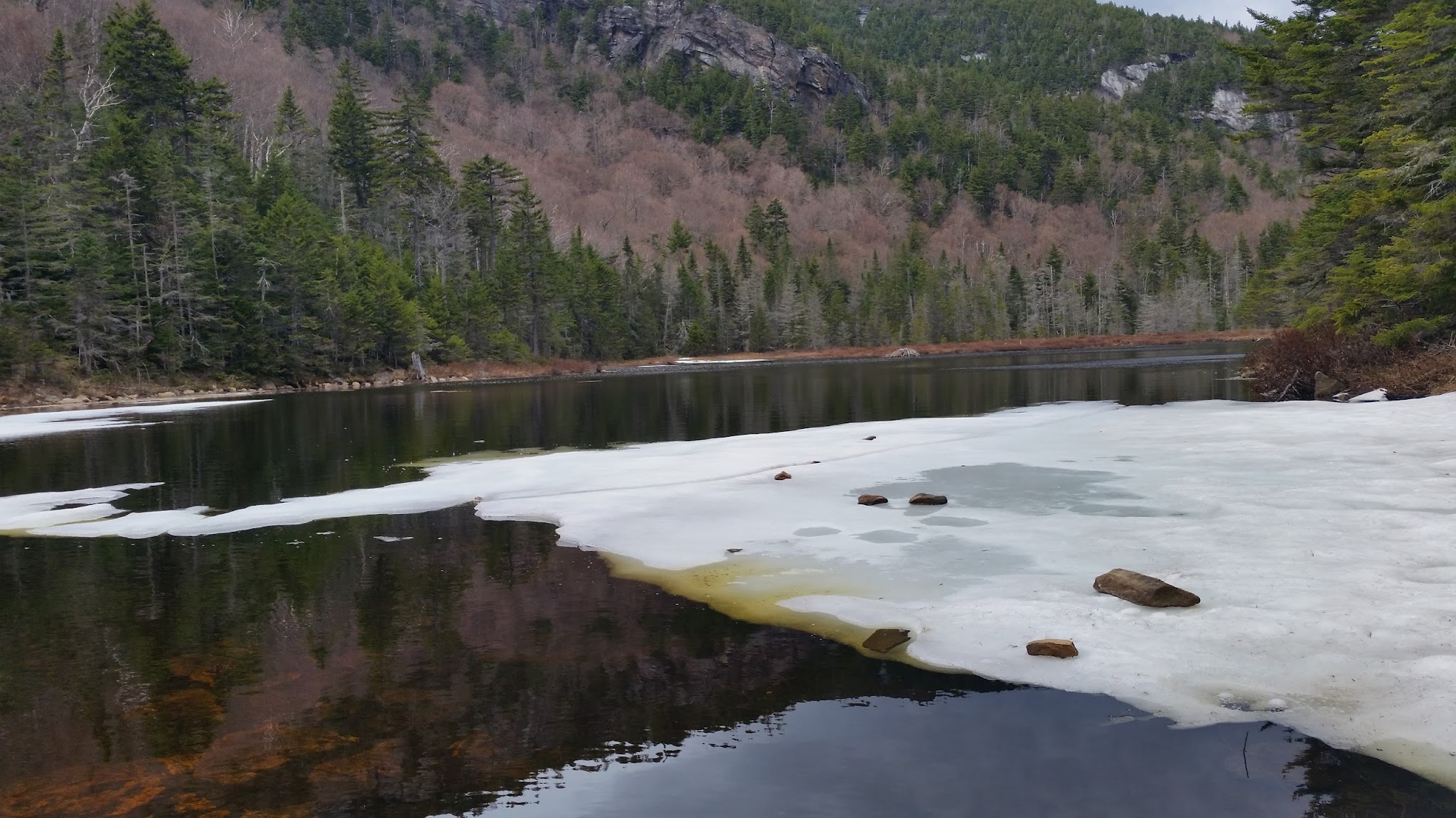 Gentian Pond Shelter