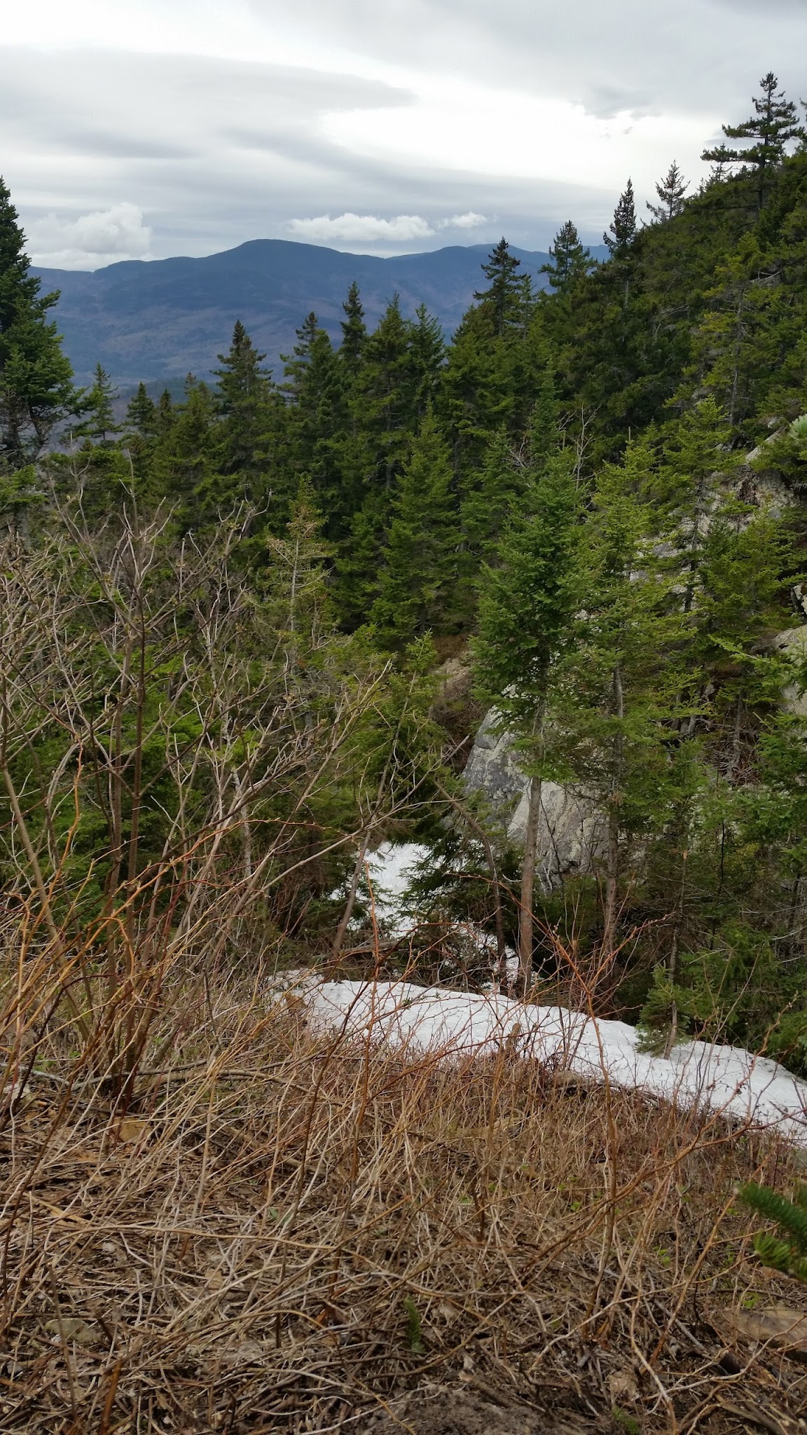 Gentian Pond Shelter