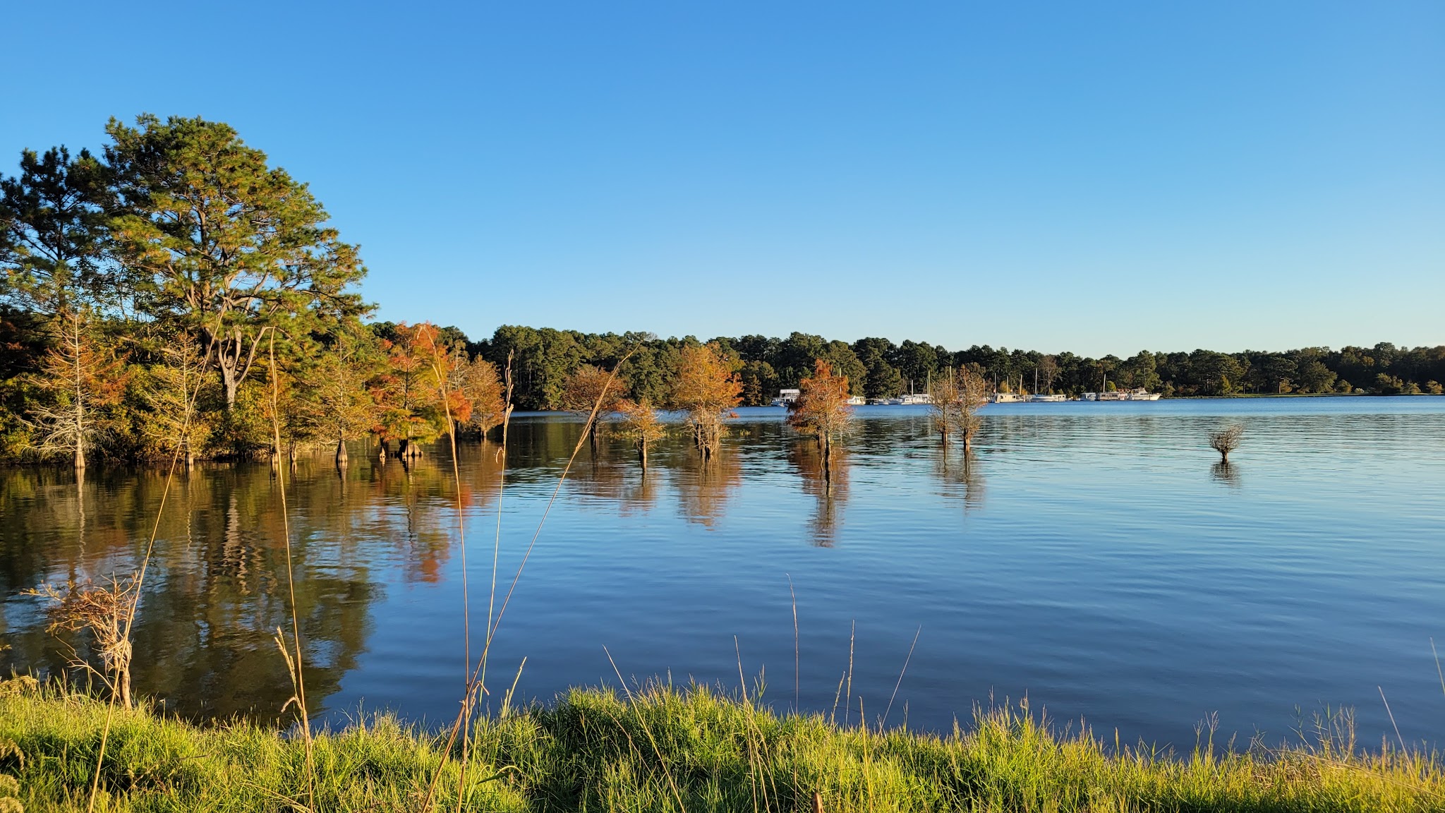George T Bagby State Park