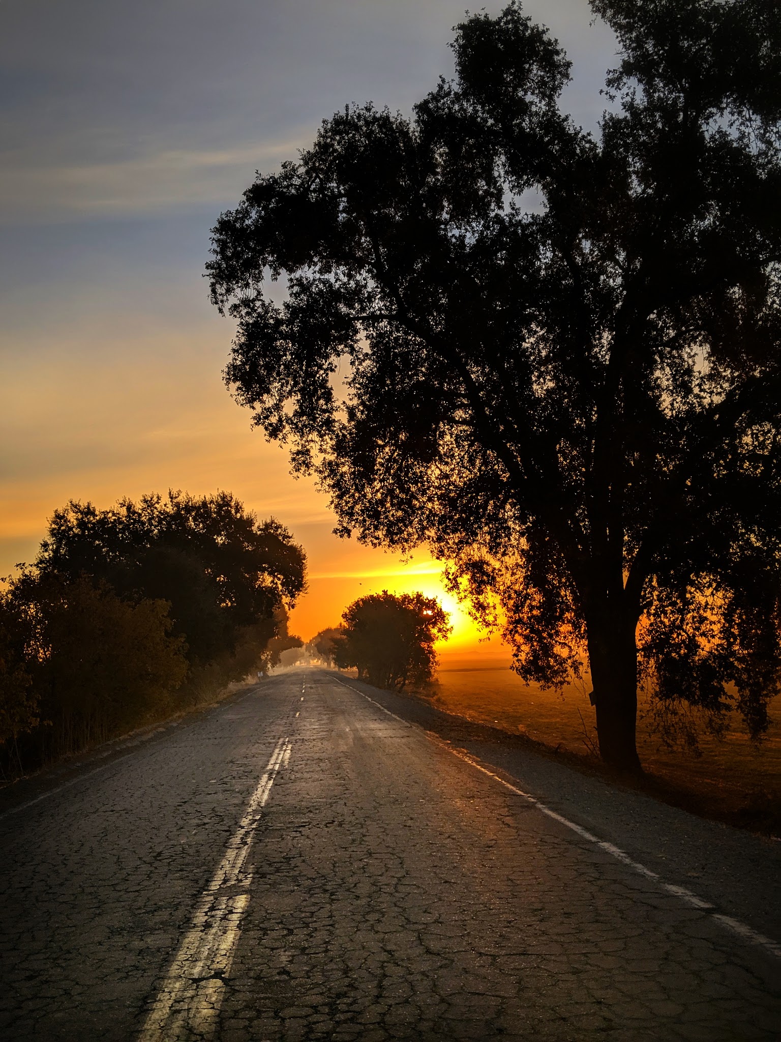 George Hatfield Group Campground