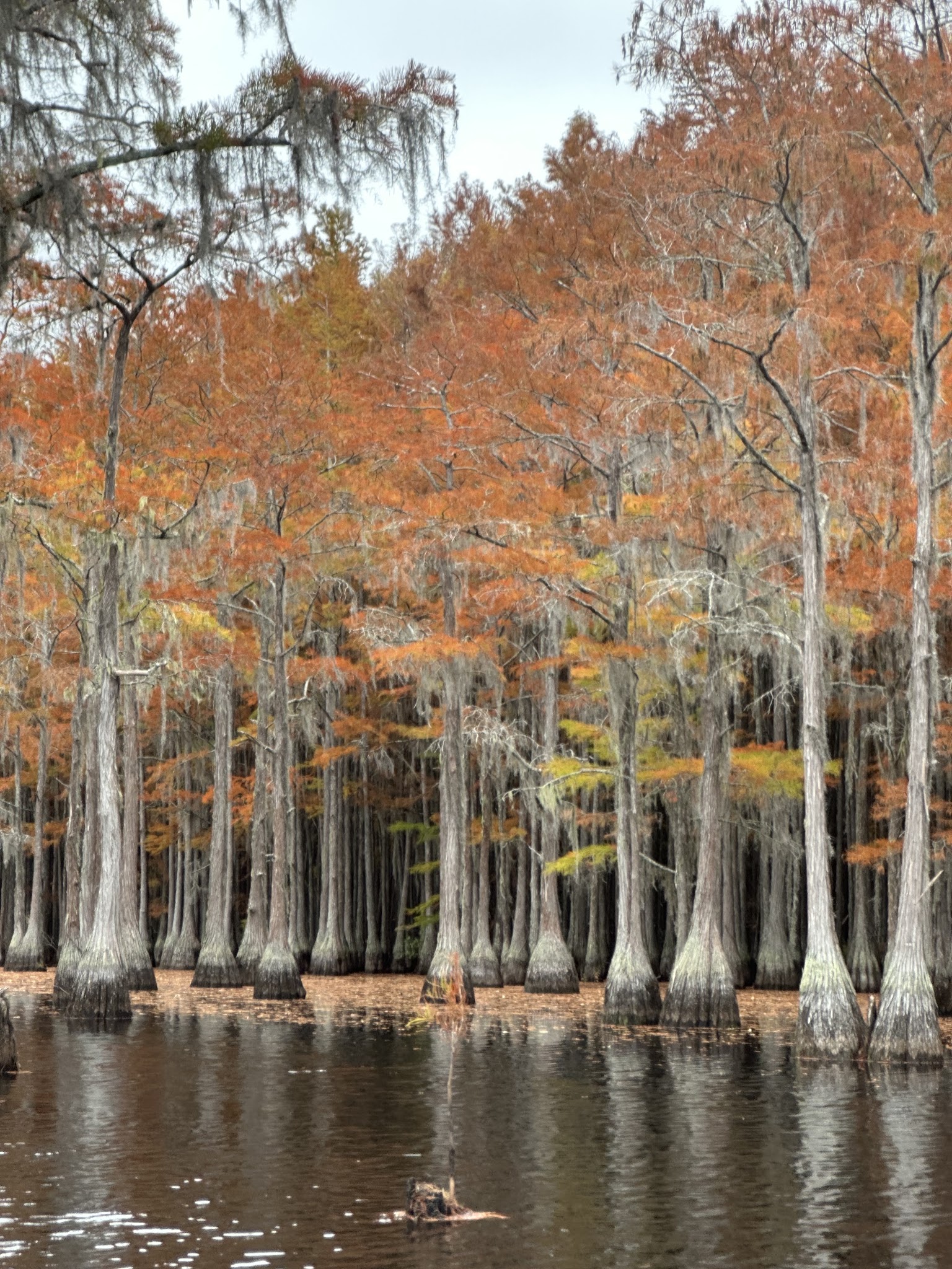 George L Smith State Park