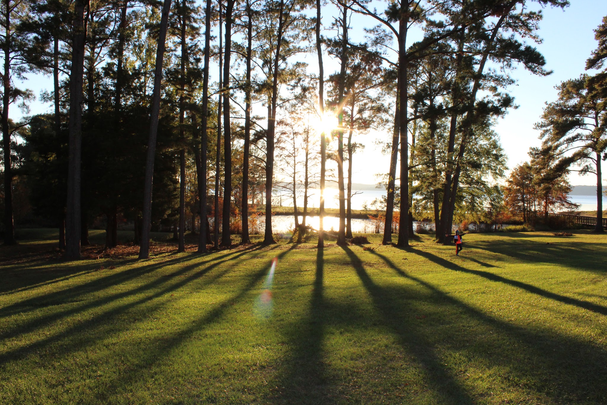 George T Bagby State Park