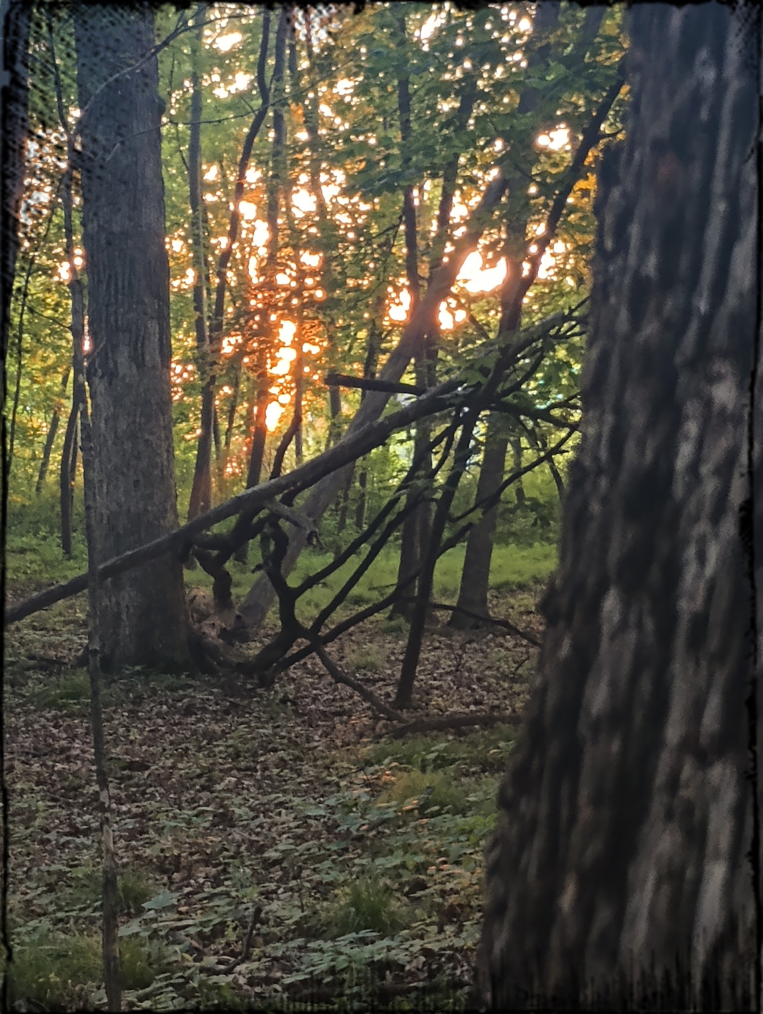 George Wyth State Park