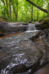 Chattahoochee Bend State Park