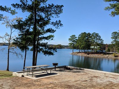 Dames Ferry 