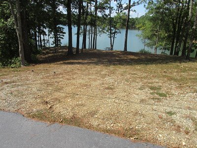 Dames Ferry 