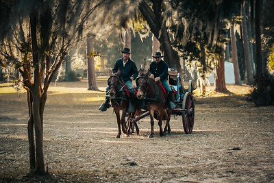 Fort Mcallister State Historic Site