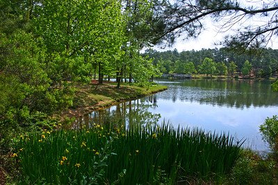 General Coffee State Park