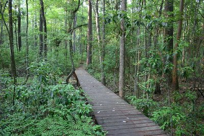 General Coffee State Park