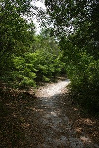 General Coffee State Park