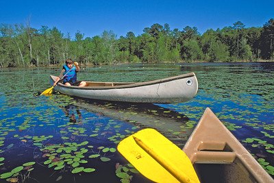 Magnolia Springs State Park