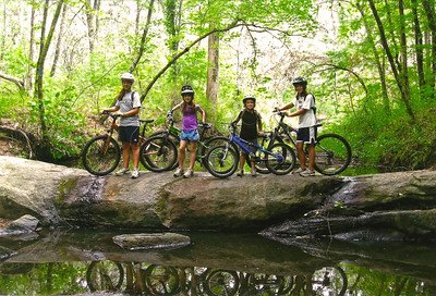 Mistletoe State Park