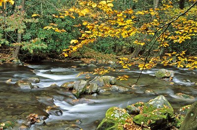 Moccasin Creek State Park