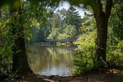 Panola Mountain State Park
