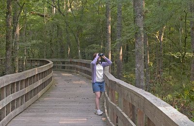 Reed Bingham State Park