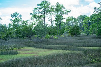 Skidaway Island State Park