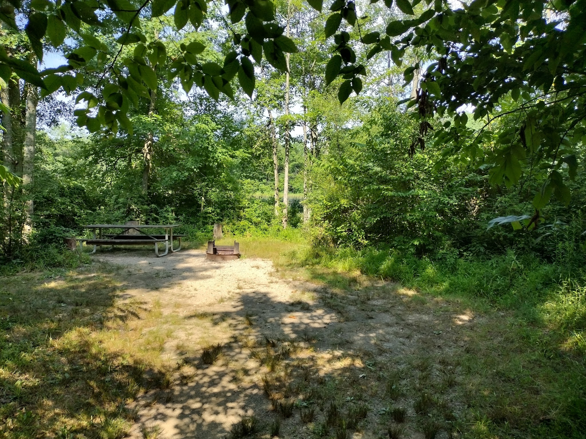 Gifford Pinchot State Park