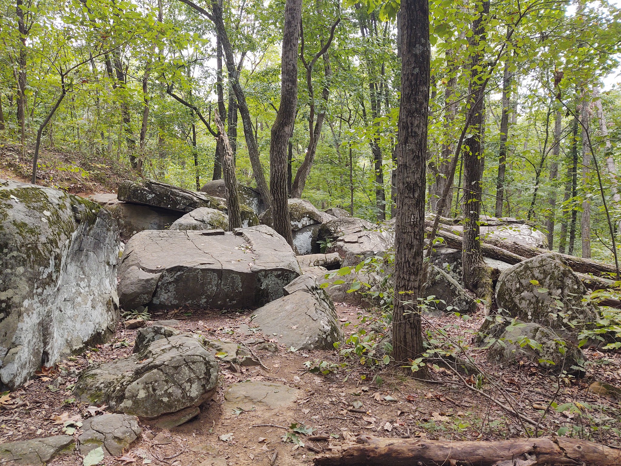 Gifford Pinchot State Park