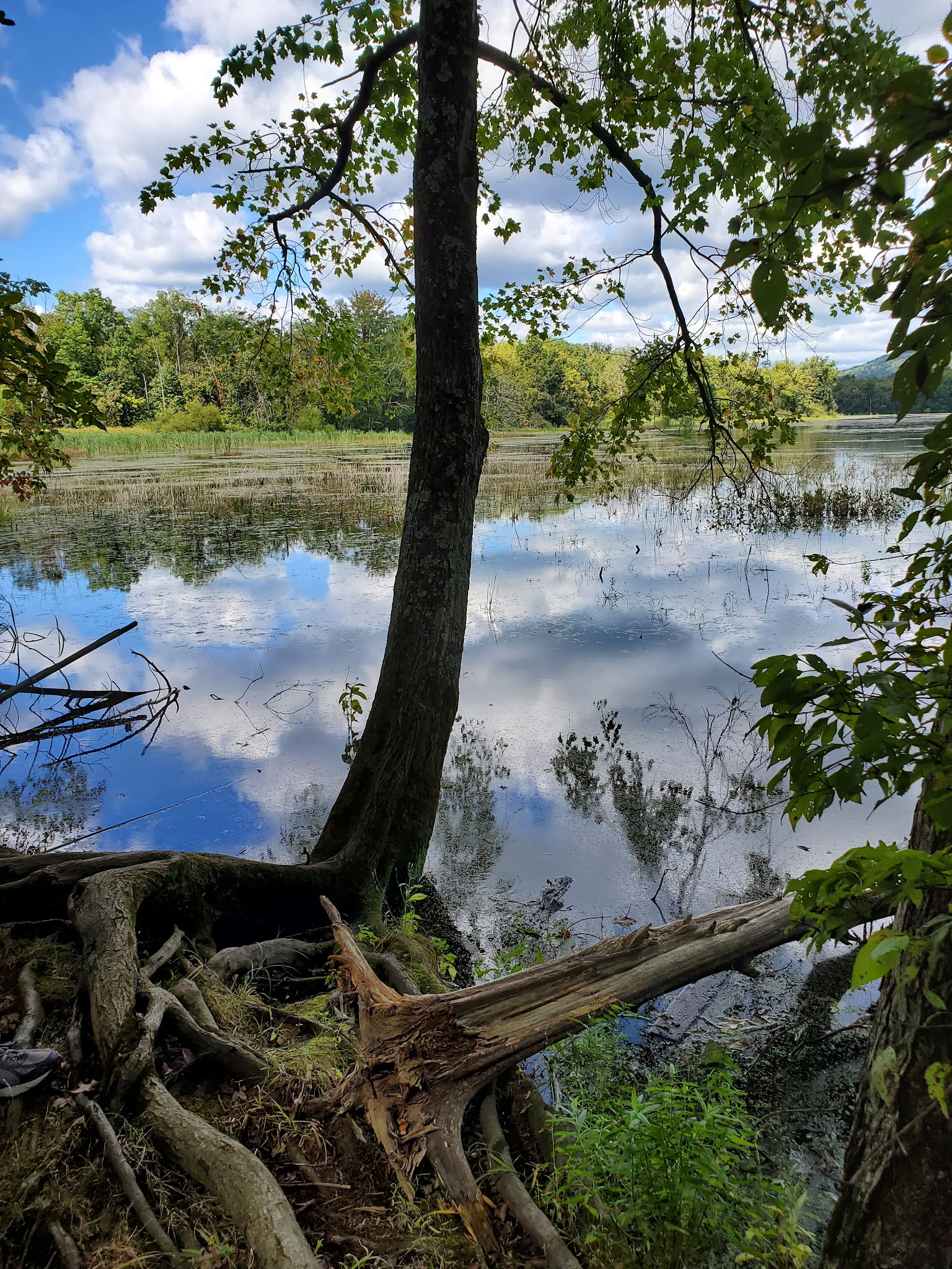 Gifford Pinchot State Park